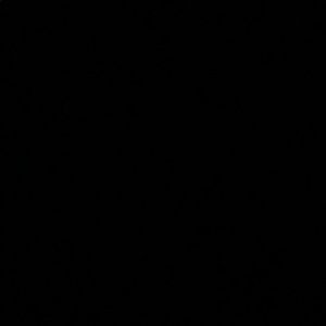 Meet your Posher, Elyse